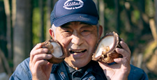 原木しいたけ栽培はじめませんか